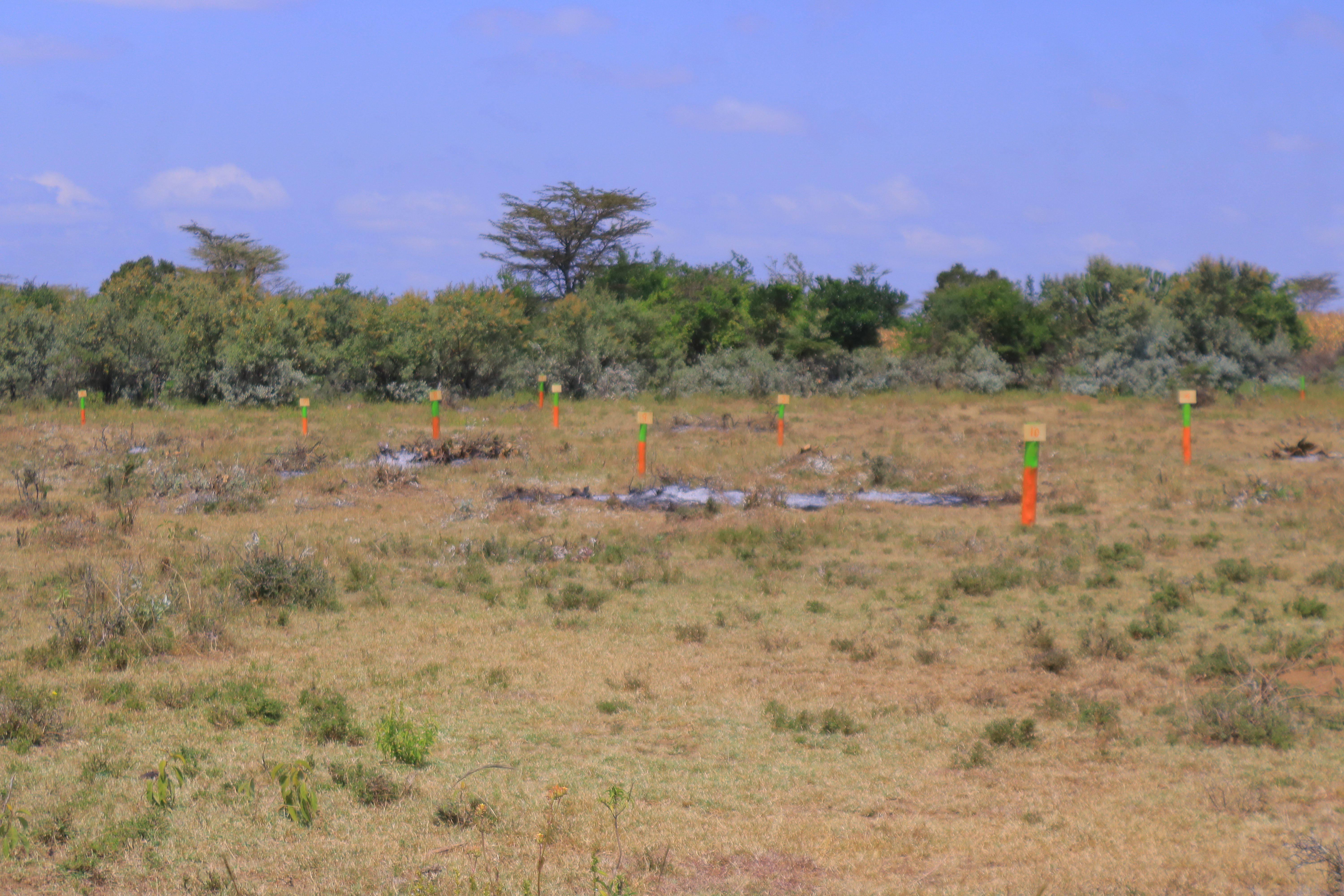 Amani Gardens Phase 7 Olerai Narok – beaconed plot boundary
